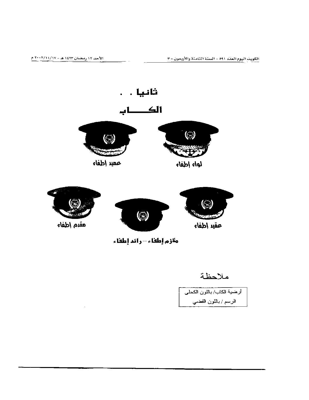 صفحة 3 من 13
