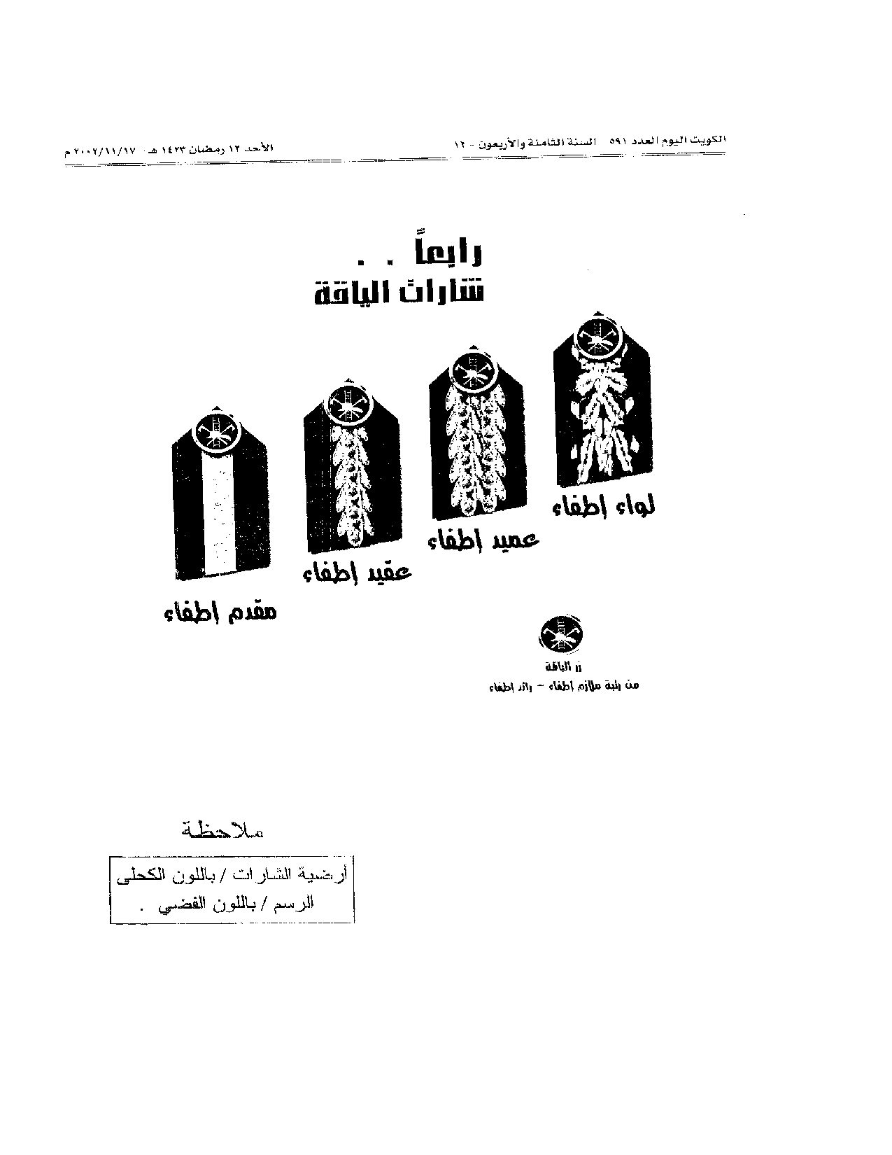 صفحة 12 من 13