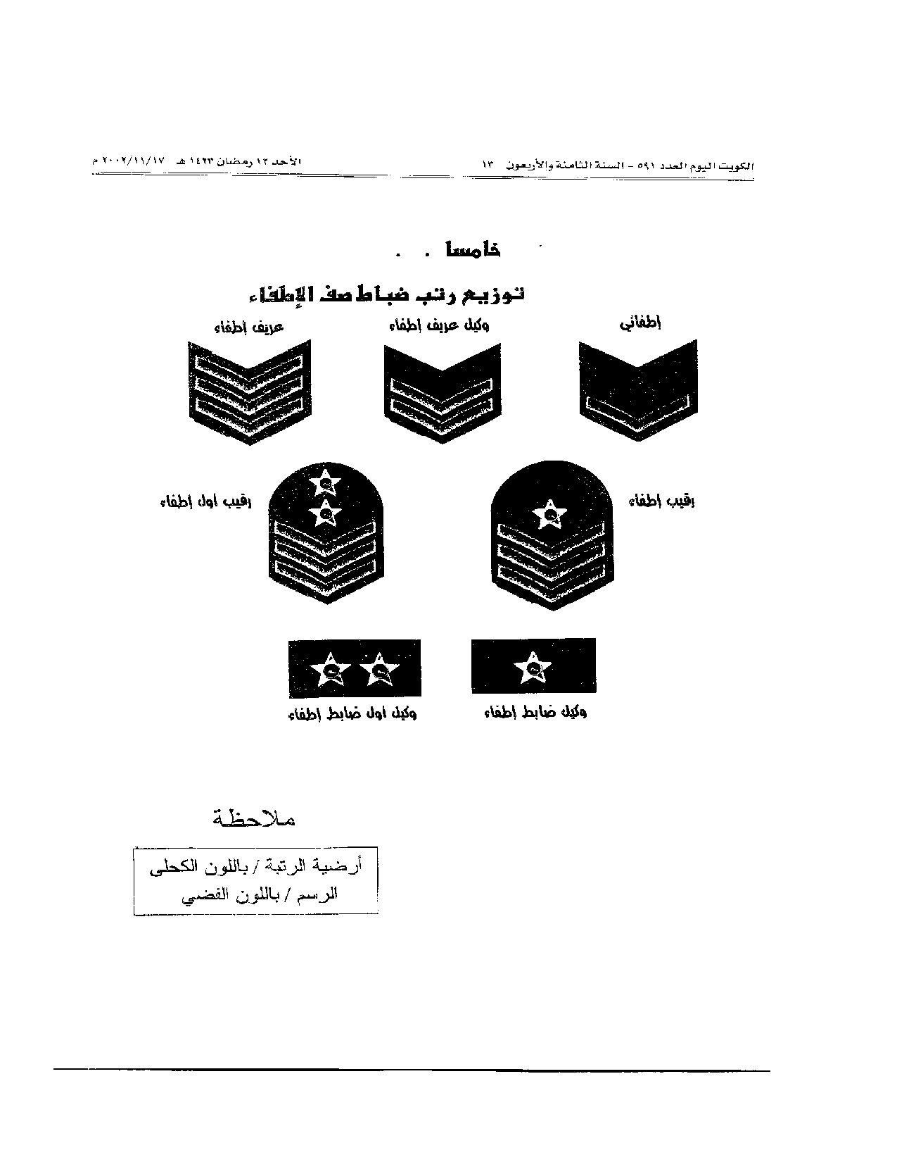 صفحة 13 من 13